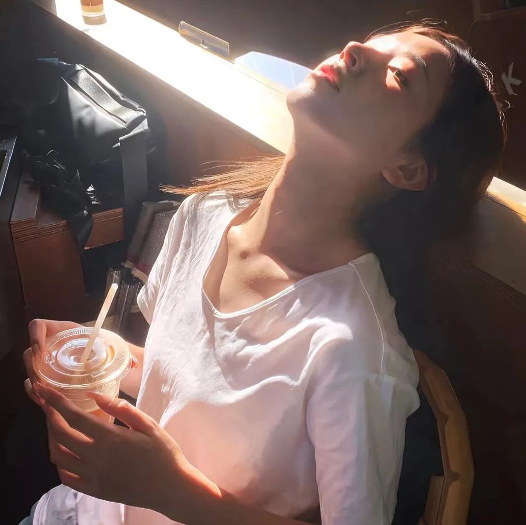 绀田照的合法食谱